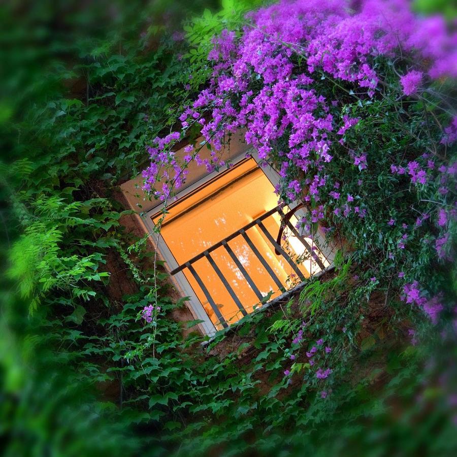 Bio Hotel Raphael - Relais & Chateaux Rome Exterior photo